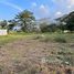  Land for sale in Limon, Pococi, Limon