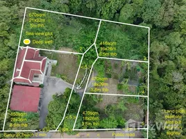  Land for sale in Bo Phut, Surat Thani, Bo Phut, Koh Samui