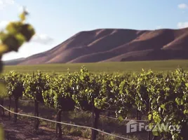  Grundstück zu verkaufen in San Carlos, Mendoza, San Carlos