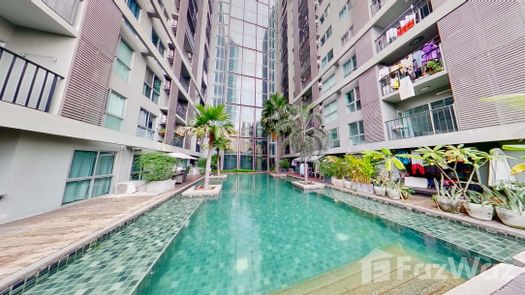 3D视图 of the Communal Pool at A Space Asoke-Ratchada