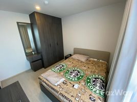 อพาร์ทเม้นท์ 1 ห้องนอน ให้เช่า ในโครงการ เอลลิโอ เดล เนสท์, บางนา