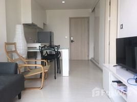 1 Schlafzimmer Appartement zu vermieten im Rhythm Sukhumvit 42, Phra Khanong