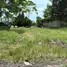 Tanah for sale in Balian, Bali, Balian, Tabanan