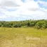  Grundstück zu verkaufen in Rio Preto Da Eva, Amazonas, Rio Preto Da Eva, Amazonas