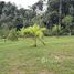  Land for sale in Presidente Figueiredo, Amazonas, Balbina, Presidente Figueiredo