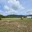  Земельный участок for sale in Pa Khlok, Пхукет, Pa Khlok, Тхаланг