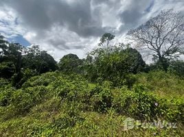 Land for sale in Brazil, Afua, Para, Brazil