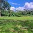  Land for sale in Pococi Limon, Pococi, Limon