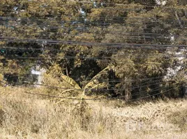  Land for sale in Prachuap Khiri Khan, Nong Kae, Hua Hin, Prachuap Khiri Khan