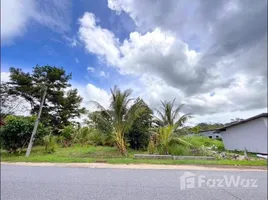  Grundstück zu verkaufen in Thalang, Phuket, Sakhu