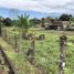 Limon Home Construction Site For Sale in Siquirres, Siquirres, Limón N/A 土地 售 