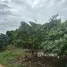  Land for sale in Sila Loi, Hua Hin, Sila Loi, Sam Roi Yot, Prachuap Khiri Khan