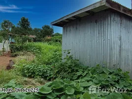  Terreno (Parcela) en venta en Kalaw, Taunggye, Kalaw