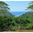  Land for sale in Guanacaste, Santa Cruz, Guanacaste