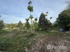 ขายที่ดิน ใน ศรีสุนทร, ภูเก็ต, ศรีสุนทร, ถลาง