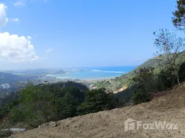  Land for sale in Kuta, Lombok, Kuta, Lombok Tengah, Lombok