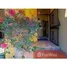 4 chambre Maison for sale in Nayarit, Compostela, Nayarit