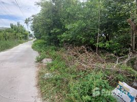  Land for sale in Nonthaburi, Bang Bua Thong, Bang Bua Thong, Nonthaburi