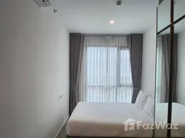 1 спален Кондо в аренду в KnightsBridge Sukhumvit-Thepharak by Hampton, Thepharak, Mueang Samut Prakan, Самутпракан, Таиланд