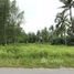 N/A Land for sale in Bang Muang, Phangnga Land near to the Beach for Sale in Takua Pa