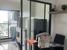 คอนโด 1 ห้องนอน ให้เช่า ในโครงการ ไลฟ์ สุขุมวิท 48, พระโขนง