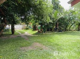 เช่าบ้านเดี่ยว 2 ห้องนอน ใน หนองปลาไหล, พัทยา House for Rent in Sukhumvit-Pattaya 15