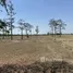  Terrain for sale in FazWaz.fr, Na Ngam, Renu Nakhon, Nakhon Phanom, Thaïlande