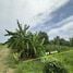  Land for sale in Thailand, Sam Wa Tawan Ok, Khlong Sam Wa, Bangkok, Thailand