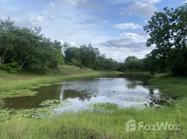  Land for sale at Phuwai Hill Resort, Huai Sai Nuea