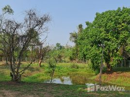 ขายที่ดิน ใน ห้วยสัก, เชียงราย, ห้วยสัก