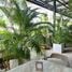 1 Habitación Retail space en alquiler en Choeng Thale, Phuket, Choeng Thale, Thalang, Phuket, Tailandia