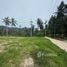  Terreno (Parcela) en venta en Maret, Surat Thani, Maret, Koh Samui