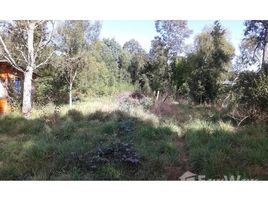 N/A Land for sale in Mariquina, Los Rios Los Lagos, Los Rios, Address available on request