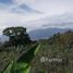  Land for sale in San Rafael, Heredia, San Rafael, Heredia, Costa Rica