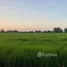  Land for sale in Chaloem Phra Kiat Nakhon Ratchasima, Phraphut, Chaloem Phra Kiat