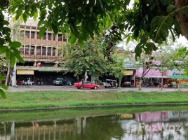 ขายที่ดิน ใน ศรีภูมิ, เชียงใหม่, ศรีภูมิ