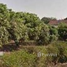 在湄登, 清迈出售的 土地, San Mahaphon, 湄登