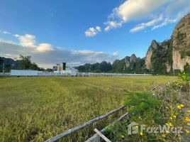  Земельный участок for sale in Ban Mung, Noen Maprang, Ban Mung