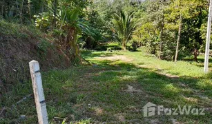 N/A Land for sale in Na Toei, Phangnga 