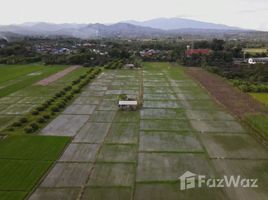  Land for sale in Ban Mae, San Pa Tong, Ban Mae