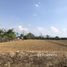  Земельный участок for sale in San Pong, Чианг Маи, San Pong