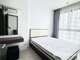 อพาร์ทเม้นท์ 1 ห้องนอน ให้เช่า ในโครงการ ควินน์ คอนโด รัชดา, ดินแดง, ดินแดง, กรุงเทพมหานคร