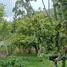  Terreno (Parcela) en venta en San José, Dota, San José
