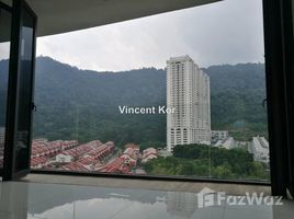 3 Bedroom Apartment for rent at Gelugor, Paya Terubong