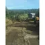  Land for sale in Chonchi, Chiloe, Chonchi