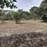  Terreno (Parcela) en venta en Costa Rica, Carrillo, Guanacaste, Costa Rica