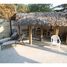 Manabi Charapoto Swedish Beach House: Clean, Open, and Organic Beachfront Masterpiece, San Jacinto, Manabí 5 卧室 屋 售 