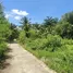  Terrain for sale in Ko Kaeo, Phuket Town, Ko Kaeo