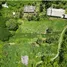  Land for sale in Thalang Phuket, Thep Krasattri, Thalang, Phuket