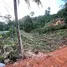  Terreno (Parcela) en venta en Tailandia, Sakhu, Thalang, Phuket, Tailandia